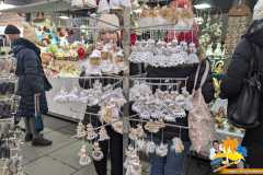 PXL_20251206_140257621.MP_