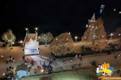 PXL_20251206_165619891.MP_