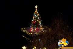 PXL_20251206_165637802