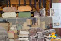 PXL_20251207_114927444.MP_