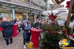 PXL_20251207_134931059