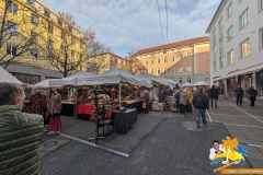 PXL_20251208_125642812