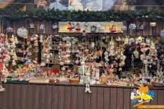 PXL_20251208_133143525.MP_