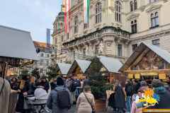 PXL_20251208_133340649.MP_