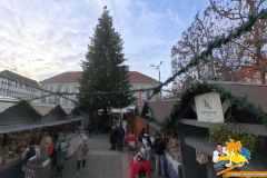 VID_20251206_150004_00_063_2025-12-11_11-35-00_screenshot