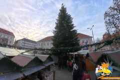 VID_20251206_150004_00_063_2025-12-11_11-35-10_screenshot