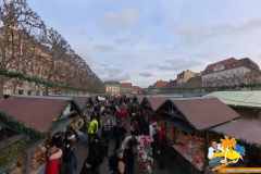 VID_20251206_150004_00_063_2025-12-11_11-35-19_screenshot