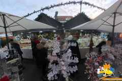 VID_20251206_150219_00_064_2025-12-11_11-36-32_screenshot