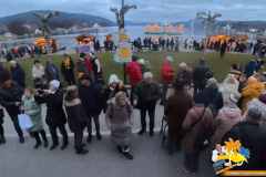 VID_20251207_155411_00_070_2025-12-11_12-10-00_screenshot